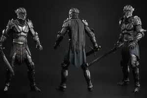 暗夜骑士——男性与女性 – Dark Knight – Male and Female