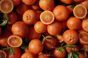 我的橘子 – My Oranges