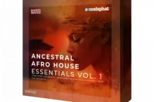 Basic Wavez Ancestral Afro House Essentials Vol.1 音色包评测与下载