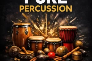 Hot Grooves Pure Percussion 鼓点采样包：拉丁、非洲与印度节奏宝库