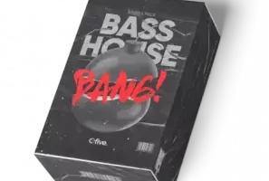 Ofive Bang House MULTiFORMAT：Slap House制作必备音色包