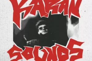 Karan Sounds Vol.2 WAV FLP 下载 – 200+巴西风格音效包