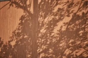木材01 – 扫描摄影测量材料 – Wood 01 – Scanned Photogrammetry Materials
