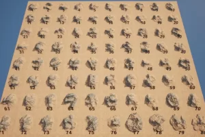 荒漠景观素材 Desert Landscape Assets