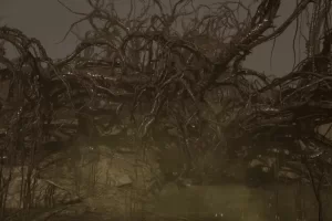 尖刺森林 – Forest Of Spikes