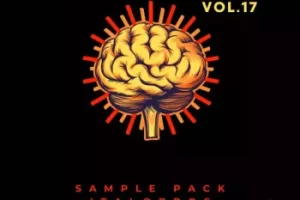 ItaloBros Italobrosgroove Sound Vol.17 WAV 音效素材包下载