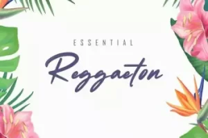 Smemo Sounds Essential Reggaeton 音色包：雷击顿制作必备