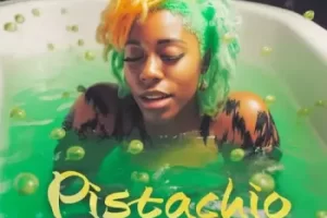 Smemo Sounds Pistachio Afrobeats采样包：202款免版税音色助你打造热门Afrobeat