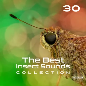 Close To Nature Music Ensemble 30 The Best Insect Sounds Collection Fly with Creature, Sound Effects, Magic Library FLAC-FANTASTiC