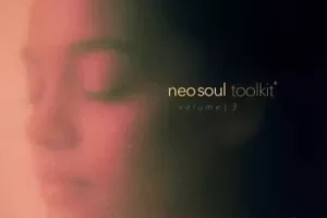 Dionso & Xandros Neo-Soul Toolkit Vol.3 新灵魂乐音色包