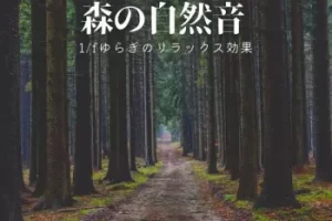 《Forest Nature Sound Relaxation》高解析自然疗愈专辑：1/f波动助眠冥想