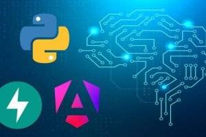 用Python和Angular打造AI物体识别应用全攻略
