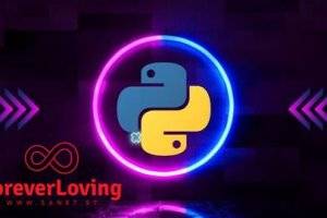 IIBM学院完整Python数据科学课程 | 初学者入门指南