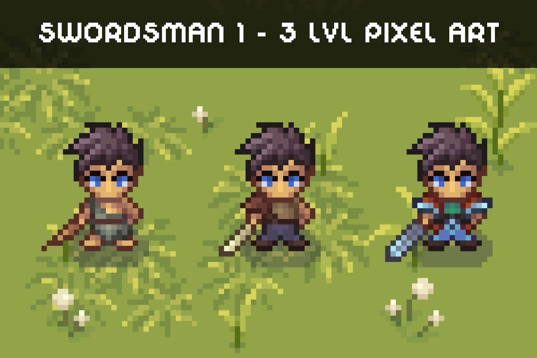 Swordsman 1–3 Level Pixel Top-Down Sprite Character