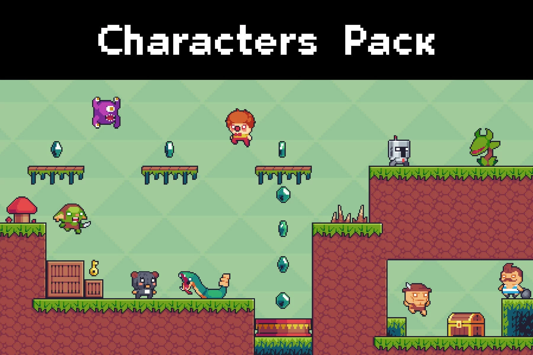 The Pack of Tiny Pixel Characters for Platformers