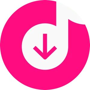 4K Tokkit Pro 26.0.0 MacOS