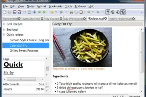 NoteCase Pro 4.9.0 多语言版：强大树状分层笔记软件