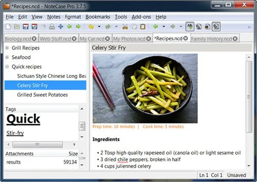 NoteCase Pro 4.9.0 Multilingual