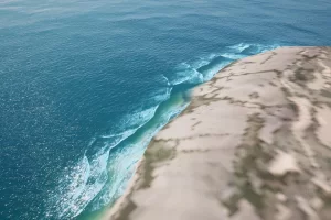 水线专业版-Waterline PRO v6.4