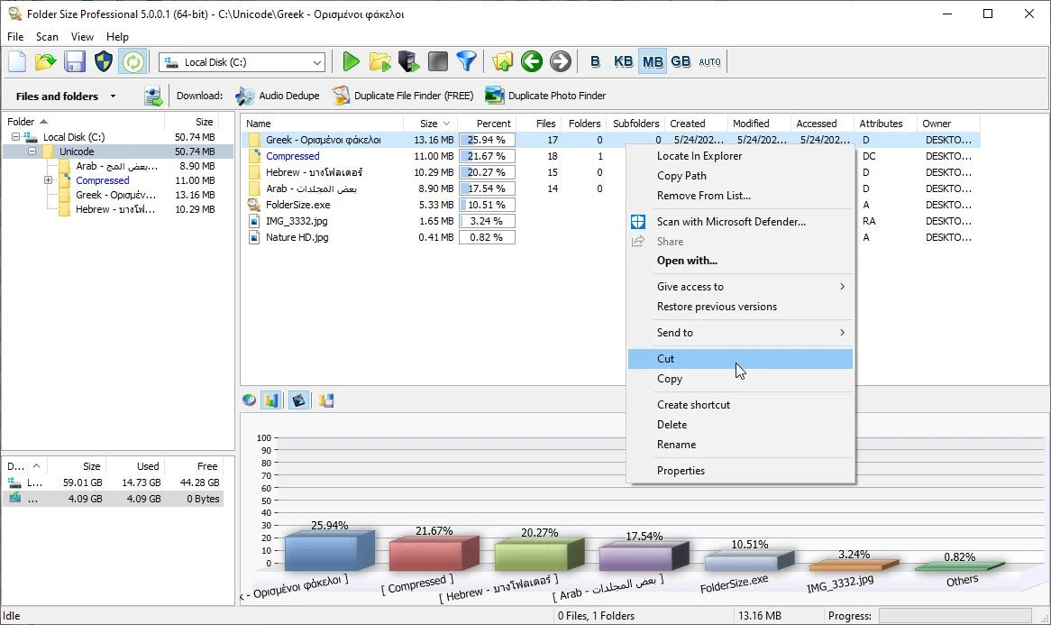 MindGems Folder Size Professional 5.9.0.5