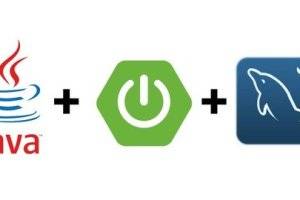 Java Spring Boot实战指南：从开发者到后端工程师