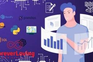 2024最新Python数据科学大师课程：从零到机器学习实战