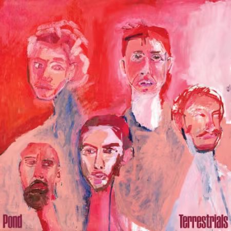 Pond – Terrestrials (2026)