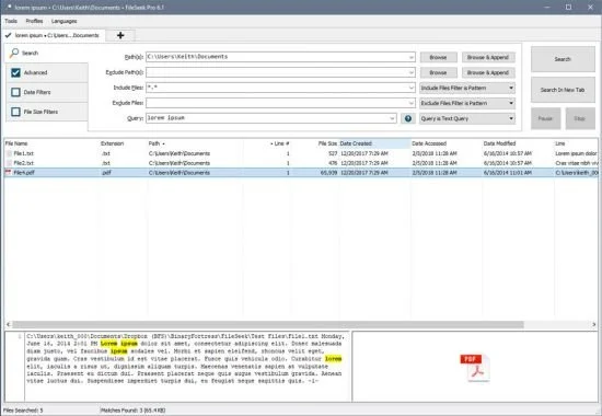 FileSeek Pro 7.2 Multilingual