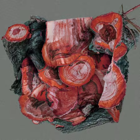 Valucre – Spore (2026)