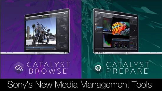 Sony Catalyst Browse / Prepare Suite 2026.1.1