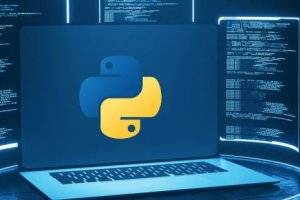 Python入门完全指南：零基础编程者的学习之旅