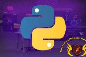 Python编程入门：夯实编码基础，掌握核心技能