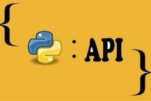 2024最新Python与PyTest API自动化测试框架实战指南