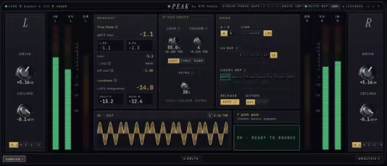 RTM Audio Peak v3.0.17 U2B MacOS