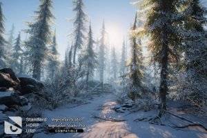 Unity冬季自然资产包Winter Environment v2.7，快速打造雪景场景