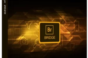 Adobe Bridge 2026 v16.0.4 发布：新功能与高效工作流详解