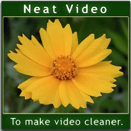 Neat Video Pro 6.1.3 for Resolve