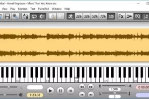 Transcribe! 9.60 x64：专业录音转谱与变速播放工具