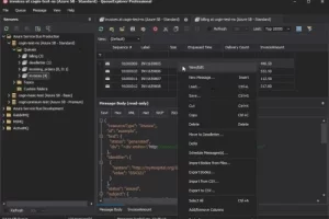 QueueExplorer Pro 5.0.90：多队列系统管理诊断利器