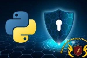 从零到网络安全卫士：Python编程实战指南