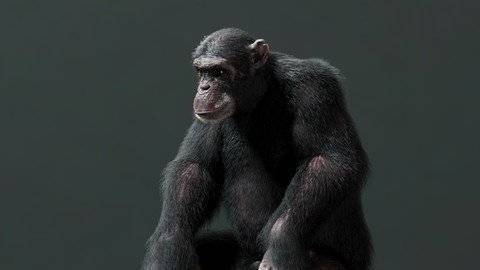 Master Cg Creature Creation