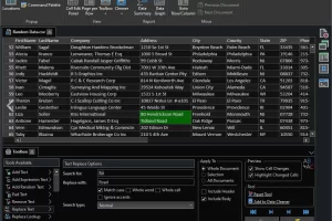 Rons Data Edit Pro 2026.7.23.939 专业CSV编辑器下载