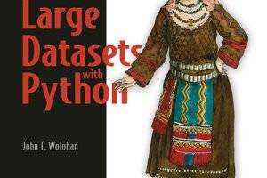 《利用Python掌握大数据集处理：视频教程》