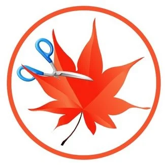 Easy Cut Studio 6.025 x64 Multilingual