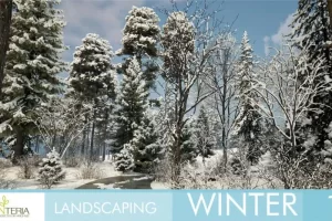 冬季景观美化场景 Landscaping Winter 1