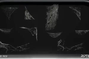 蛛网虫蛹蚕茧物件素材场景模型道具 Cobwebs Spider Webs Pack