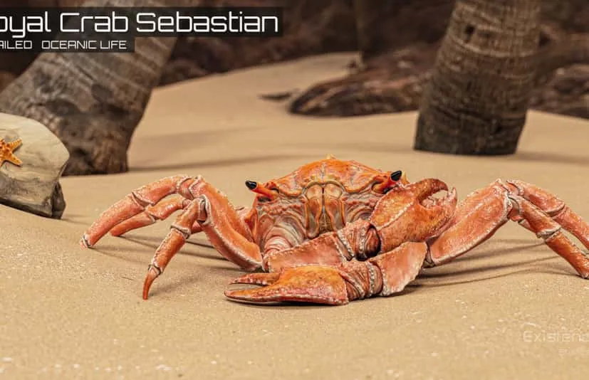 皇家蟹 Royal Crab - King Sebastian