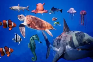 海洋动物鲨鱼海马海龟水母 Sea Animals 12 Meshes