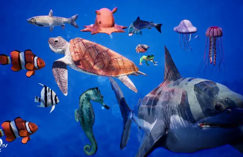海洋动物鲨鱼海马海龟水母 Sea Animals 12 Meshes