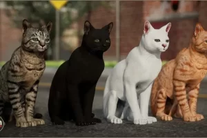 毛发家猫带动画母猫 – Animalia – Domestic Cat